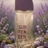 https___dodptt9f4zk9h.cloudfront.net_stores_339064_products_17ad7abbd4f4fcc99a23a51c586cec5137af17e3 Surrender