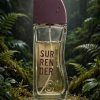 https___dodptt9f4zk9h.cloudfront.net_stores_339064_products_5f9f6e64f497c5b70fef06013a4377fc41f1962a Surrender