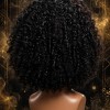 Black Curly Wig Lace Front